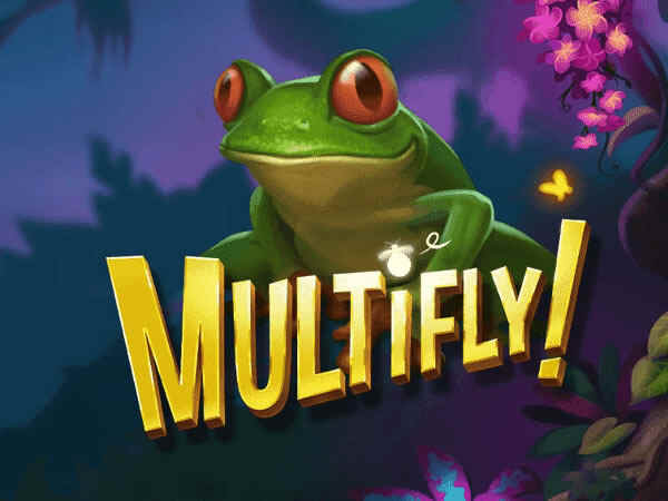 Multifly!